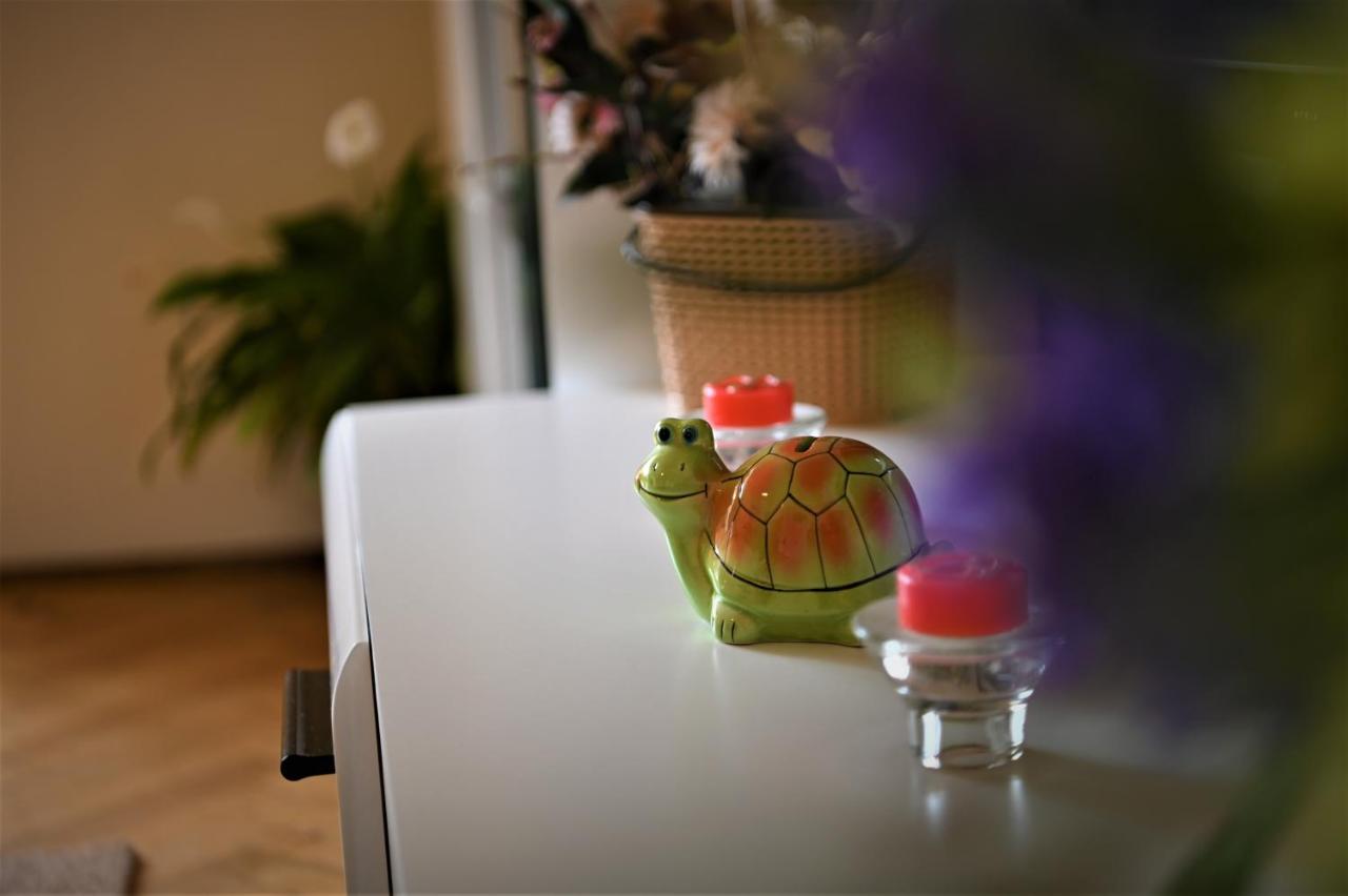 Marin Hotel Apartment Brasov Ngoại thất bức ảnh
